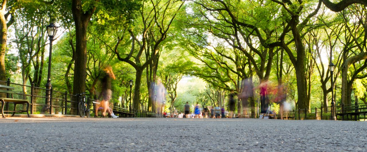 People walking and sitting on benches at the mall located in Central Park, Manhattan, New York